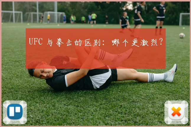 UFC 与拳击的区别：哪个更激烈？